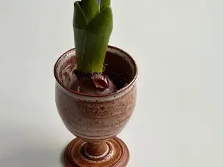 Keramikbæger, vinglas