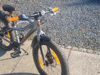 scott roxter 20