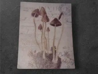 Vintage svampeillustration på elegant papirark