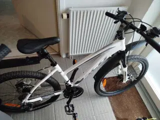Sco mtb