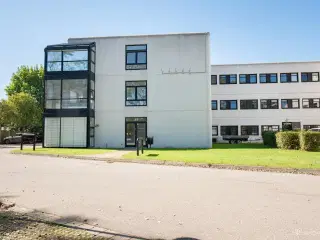 Virtuelt kontor i Albertslund