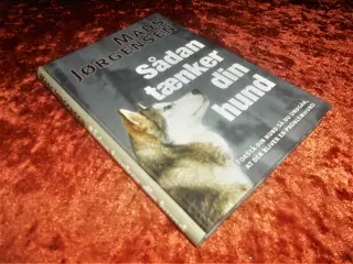 Sådan tænker din hund, Mads Jørgensen