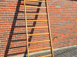 Ribbe i fyrretræ 