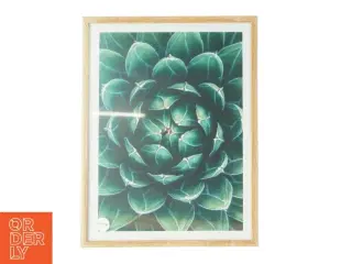 Billedramme i træ (str. LB: 30x40 cm)