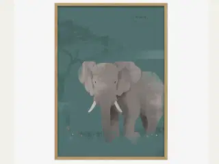 Design plakat Elefant
