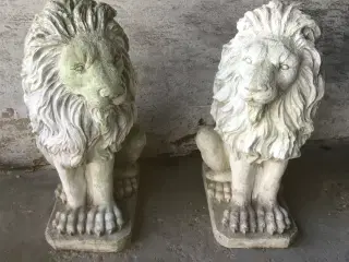 2 stk løver