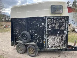 Hestetrailer 