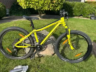 Scott Scale 26 disc