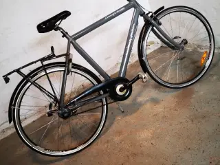 Mustang passion 28" 52cm 