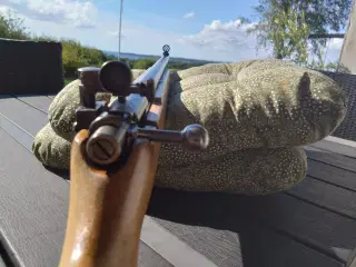 Otterup salon .22 lr bane/jagtriffel