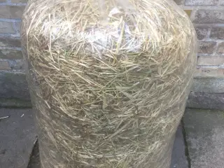 Hø