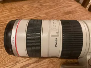 Canon EF 70-200 US 2,8 L