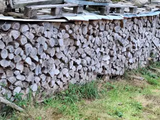Brænde, nåletræ / klar til fyret
