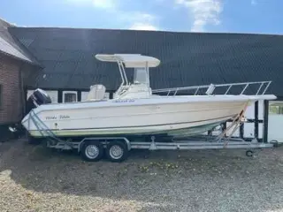 Sea Ray 24 Laguna