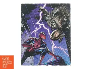 Spider-Man Billede (str. 25 x 20 cm)