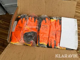 Arbejdshandsker Winter Draco 1 kasse (120 par)