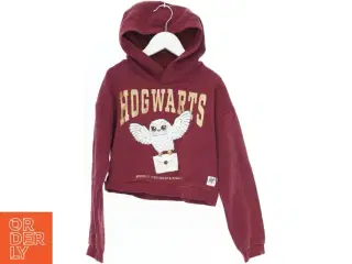 Harry Potter Hogwarts hættetrøje fra H&M (str. 140)