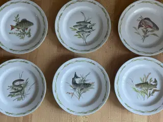 Porcelæn