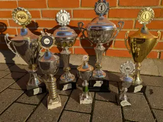 Pokaler sælges