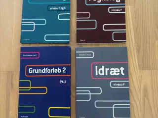 SÆLGES disse 4 bøger til PAU GF2