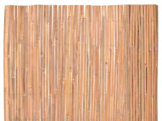 Bambushegn 100 x 400 cm