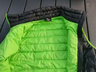 Dynevest 
