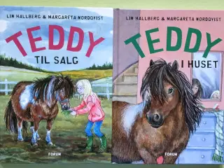 Teddy 1 - 2