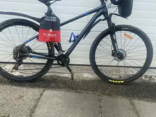 29" Companion 1.0 Medium fra 2024