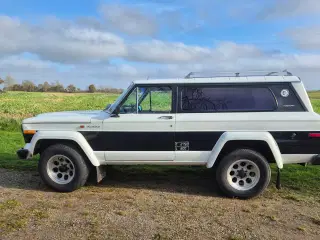 Cherokee 1980 med masser af syn 