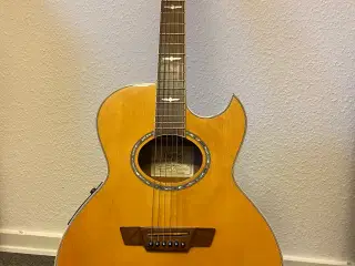 Washburn EA26 Limited Edition