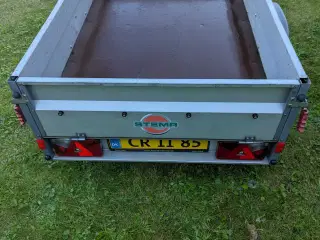 Stema trailer 