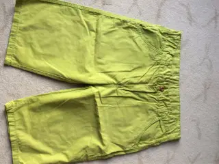 Limegrøn shorts