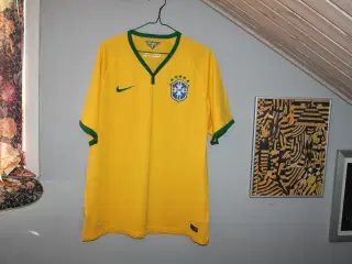 💛Brasiliens landshold 2014💛