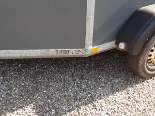 Hestetrailer Bachmann årg 2013