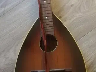 Mandolin 
