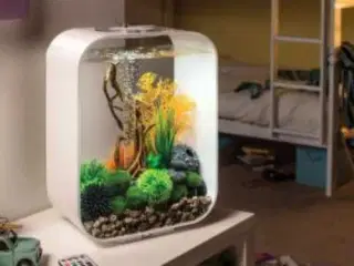 Biorb akvarie Life 60L hvid