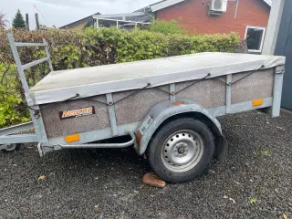 Trailer med tip