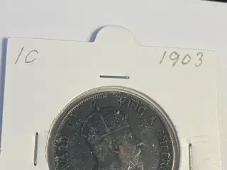 1 Cent Hong Kong 1903