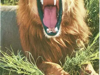 Kenya 1971