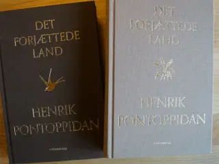 Henrik Pontoppidan: Det forjættede land