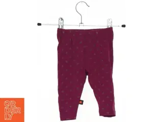 Leggings fra Molo (str. 62 cm)