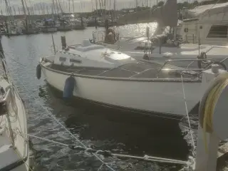 CoC Boats dansk bygget byd skal væk nu 