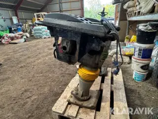 Jordloppe Shatal TC62