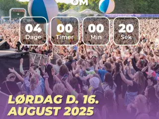 Billet til Vi elsker 90’erne i Vejle 