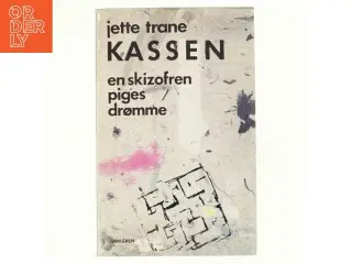 Kassen en skizofren piges drømme