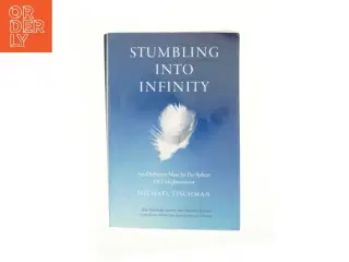 Stumbling Into Infinity af Fischman, Michael (Bog)