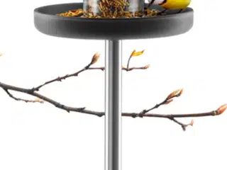 Eva solo fugle foder bræt