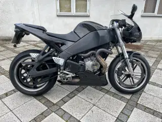 Harley Davidson buell 