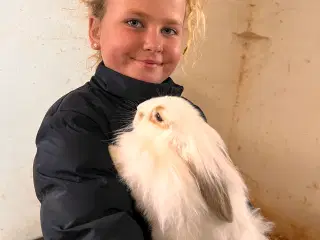 Meget Kælne kaniner sælges