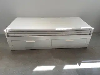 Seng/sovesofa